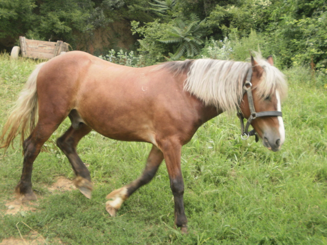 P7150554