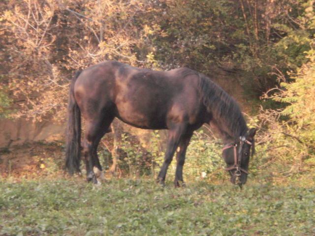 PA130357