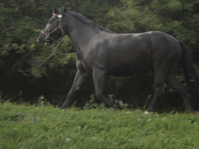 P8050257
