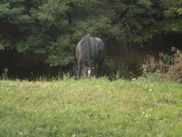 P8050258